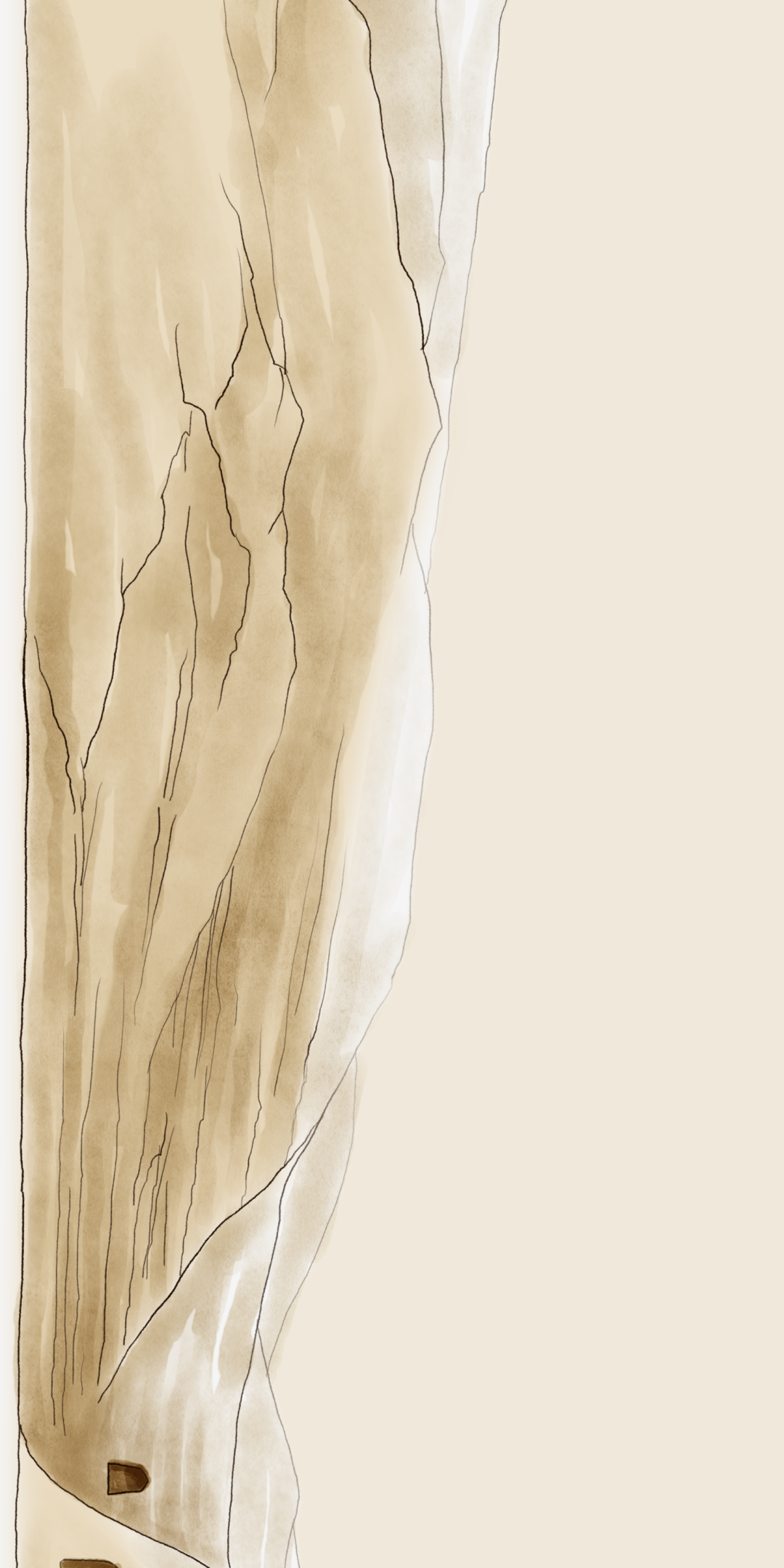 broken image
